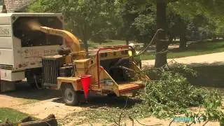 Urban Tree Specialists | FINDitKC