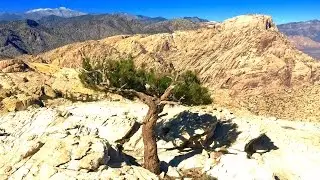 Red Rock Canyon - Secret summit and destination hike!