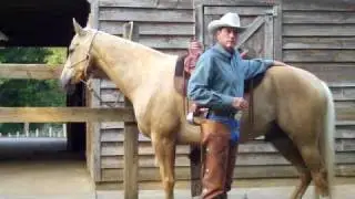 Ed Dabney, Gentle Horsemanship International