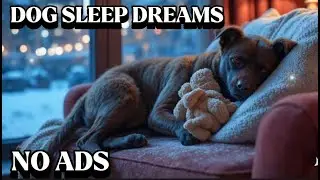 12 Hours of Gentle Calm Music for Dogs 🐾🎧 | Relax, Reduce Anxiety & Sleep Peacefully 🌙NO ADS