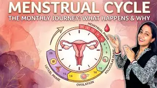 What Is Menstrual Cycle?