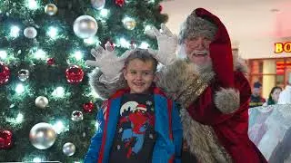 The Market Common Tree Lighting 2024