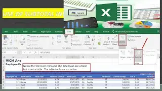 USED OF SUBTOTAL IN EXCEL