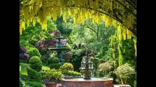 Amazing Blooming Garden