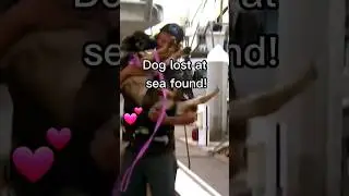 🐕Dog Lost At Sea Found!💕
