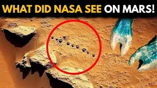 Scientists Terrified by Shocking Discovery on Mars! Is Alien Life Out There?