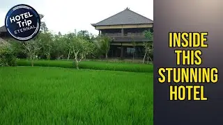 Bliss Spa Ubud Hotel - Inside This Stunning Hotel | Bali, Indonesia🏩
