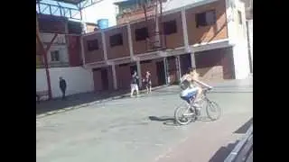 chichito en una rueda en la bombillas