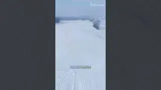 🤔 Почему 80% территории Канады пустует?