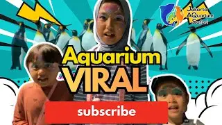 Jakarta Aquarium & Safari Terbaru 2025 | Wisata Edukasi Keluarga, Terbesar & Terlengkap di Jakarta