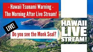 Hawaii Travel Live: Tsunami Warning - Morning After! Did you see the Monk Seal? #tsunami #hawaii