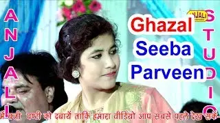 Chain Se Jeene Nhi Denge Zamane Wale Ghajal / Seeba parveen Kanpur