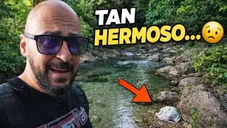 Fui a un Río en Ponce… Terminé Picado por Avispas 😭 