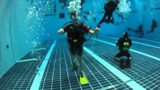 Diveworld Club Night at Ponds Forge