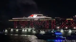 Downtown Miami Florida at Night, Beautiful City Views and Biscayne Bay Views with Cruises