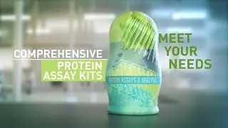 Meet Our Protein Nesting Dolls