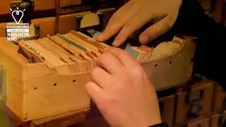 Mundaneum Mons / Le patrimoine pr&eacute;f&eacute;r&eacute; des Wallons