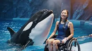 &ldquo;Jessica&rsquo;s Old Memories with Orca &ndash; A Bond Beyond Time 🐋💔&rdquo;