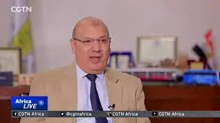 Egypt rolls out a clean-energy public transport system