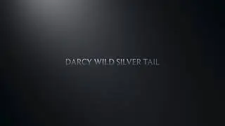 Курильский бобтейл из питомника Wild Silver Tail в Украине