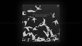 Hidden Orchestra - Western Isles (Throwing Snow Remix)