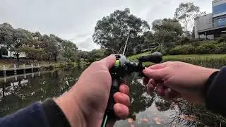 Fishing random Melbourne lakes for fish. Part 1.