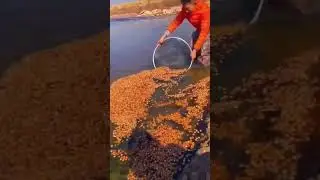 Guess what farmers do?
