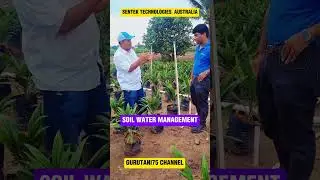 SENTEK SOIL SENSOR - SOIL WATER MANAGEMENT SOLUTION I GURUTANI75