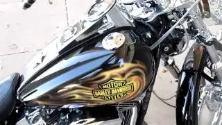 Harley EVO Wide Glide, Screamin Eagle heads, trick wheels
