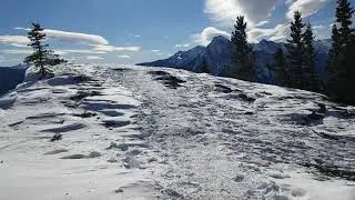 Yates Mountain Main Lookout
