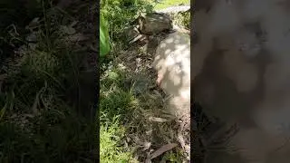Release fail! Zero Instincts
