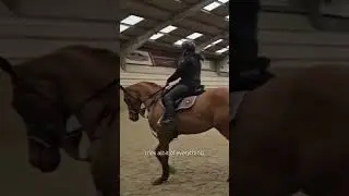 At RaceShare we are proud to show our commitment to life after racing for our own ex-racehorses...