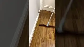 Dit werkt zoveel beter dan een Swiffer 🤩 Ik kan er makkelijk mee vegen &eacute;n dweilen, 2-in-1! #bezem #dweil #schoonmaakgadget