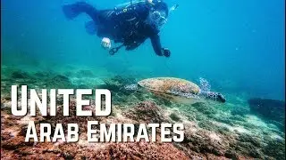 Scuba Diving in Fujairah - UAE | FIRST FUN DIVE