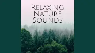 Spiritual Background