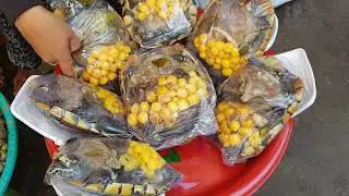 Turtle Meat
