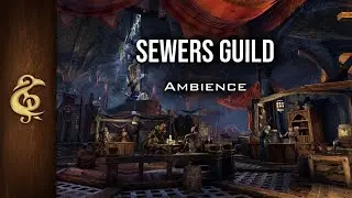 Sewers Guild | Thieves Ambiences (Noisy version) | 1 Hour