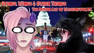 Stings, Wings & Other Things: The Demon Cat Of Washington D.C. #vtuber