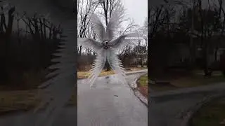 SERAPHIM 😱😱😱#angel #jesus #mystery #viral #ambience #youtubeshorts