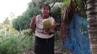 Vamos pra mais uma rotina de trabalho + comemoração de aniversário das minhas meninas. 