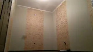 FuriBee F36