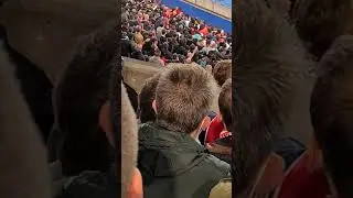 bagarre tribune supporters psg
