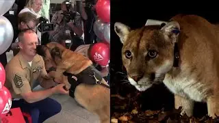 Saying Goodbye to Beloved Animals