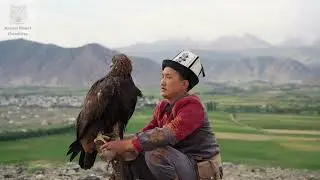 Top 5 Most Incredible Eagle Species | Animal Planet Chronicles