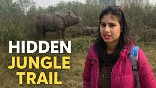 Exploring a Hidden Jungle Trail in Noida 🌿 | Kid-Friendly Local Travel  GoWithJenni