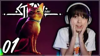 IM A CAT MEOW | Stray Let's Play Part 1