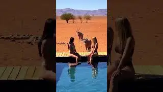 🌍 Discover the Beauty of Namibia! 🏜️