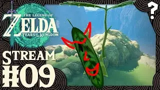 Der Krog beim Flammen-Griock &ndash; Zelda: Tears of the Kingdom | Stream #09