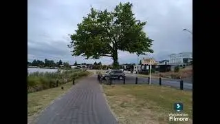 Hamilton Lake Domain on a cloudy day