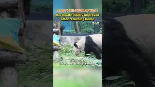 【Happy 23th Birthday Yaya !Her health visibly improved after returning home】